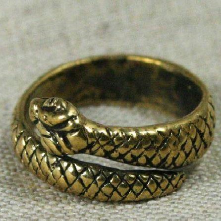 Бронзовое кольцо Змейка