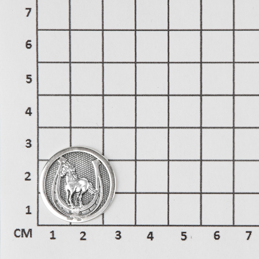 Серебряная монета Лошадь с подковой (Подарок на год Лошади)Фото 11286-03.jpg