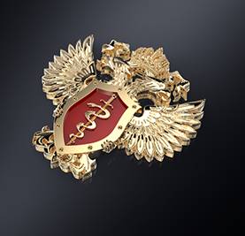 Серебряный фрачный значок ФСКН РФ