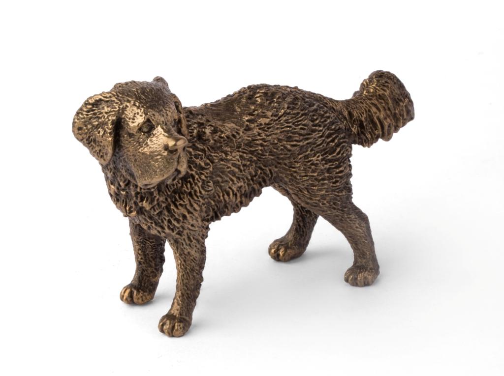 Бронзовая скульптура Собака сербернарФото 17458-02.jpg