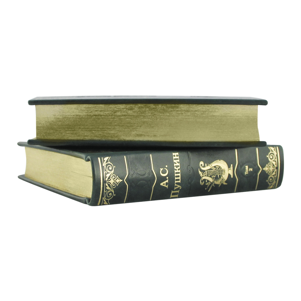Книга в кожаном переплете Избранная лирика в двух томах. Пушкин А.С.(снято с производства)