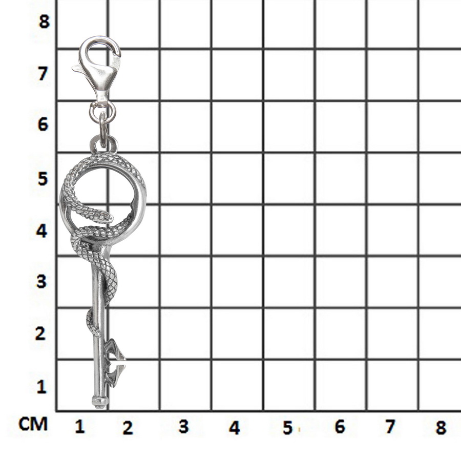 Серебряный брелок Змея на ключе (Подарок на Год Змеи)