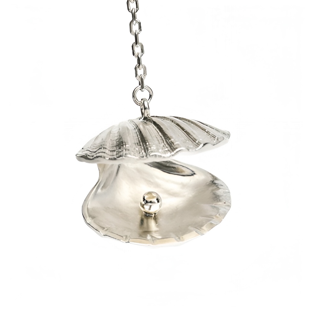 Серебряный ионизатор РакушкаФото 9198-02.jpg